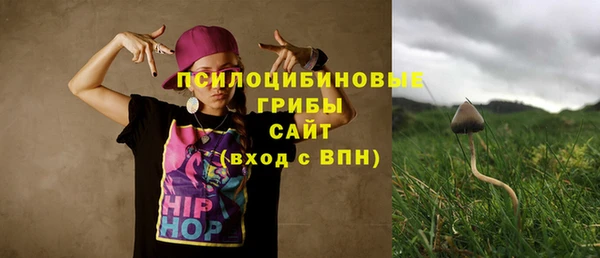 эйфоретик Мегион